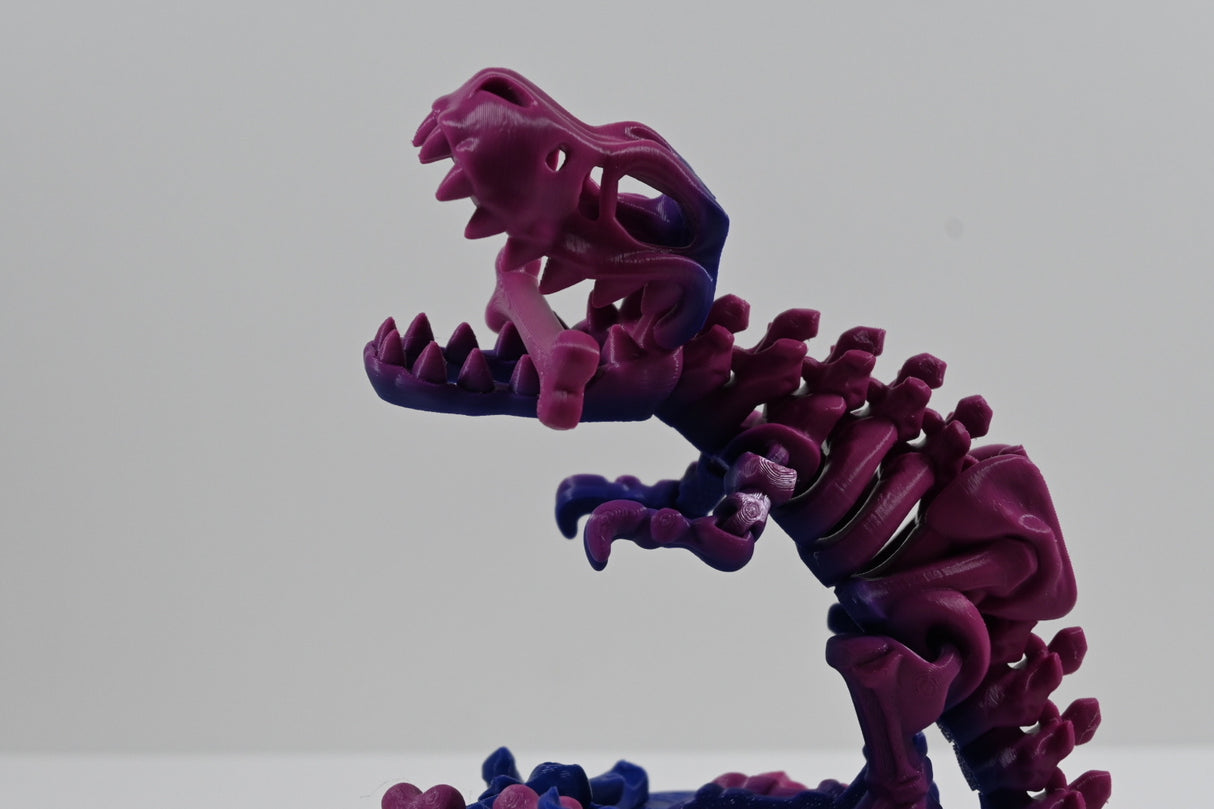 Skeleton T-Rex (and Base)