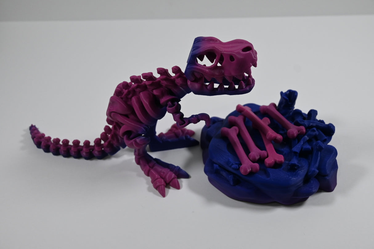 Skeleton T-Rex (and Base)