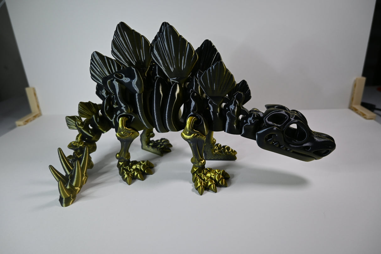 Skeleton Triceratops - Large