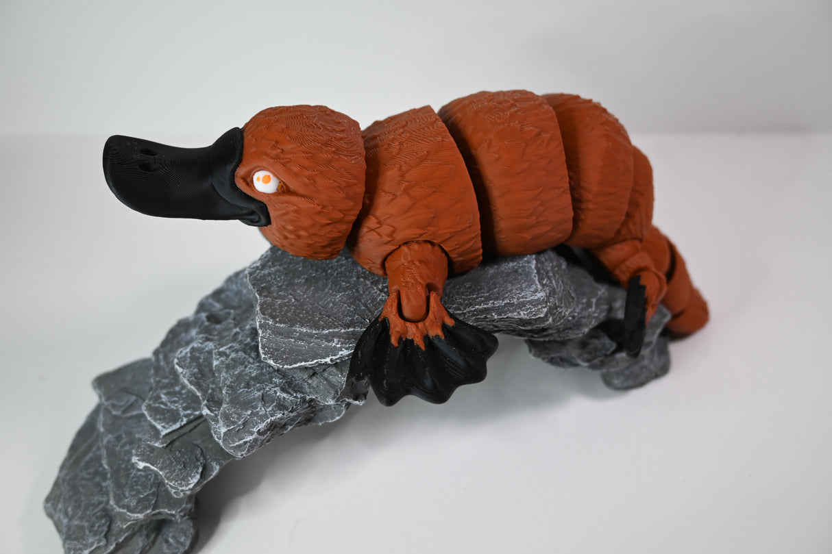 Platypus - Large