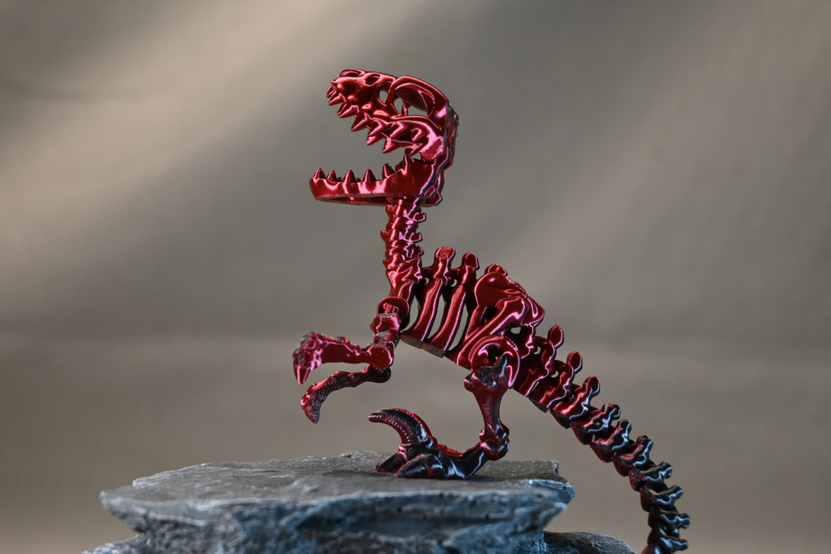 Skeleton Velociraptor