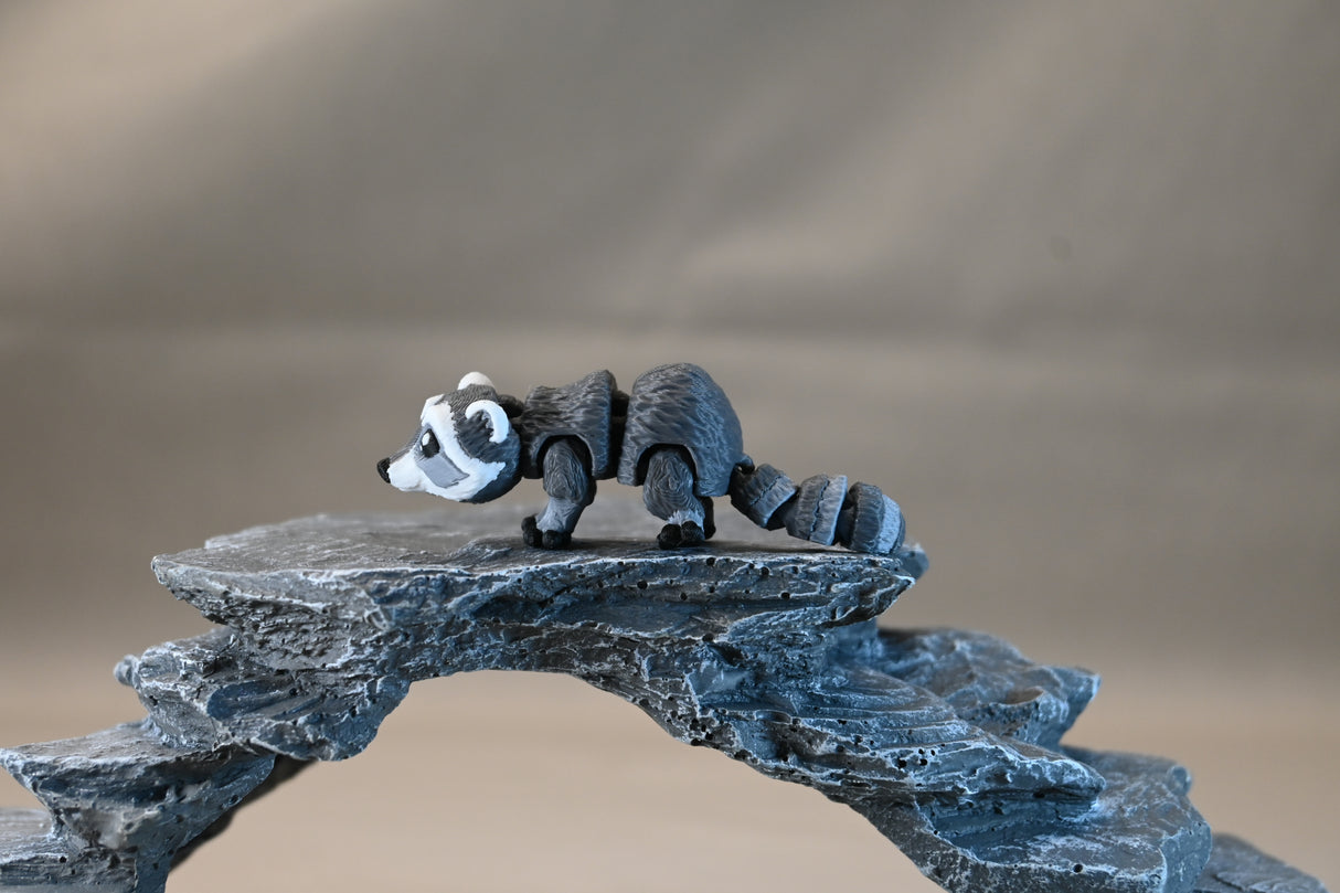 Raccoon