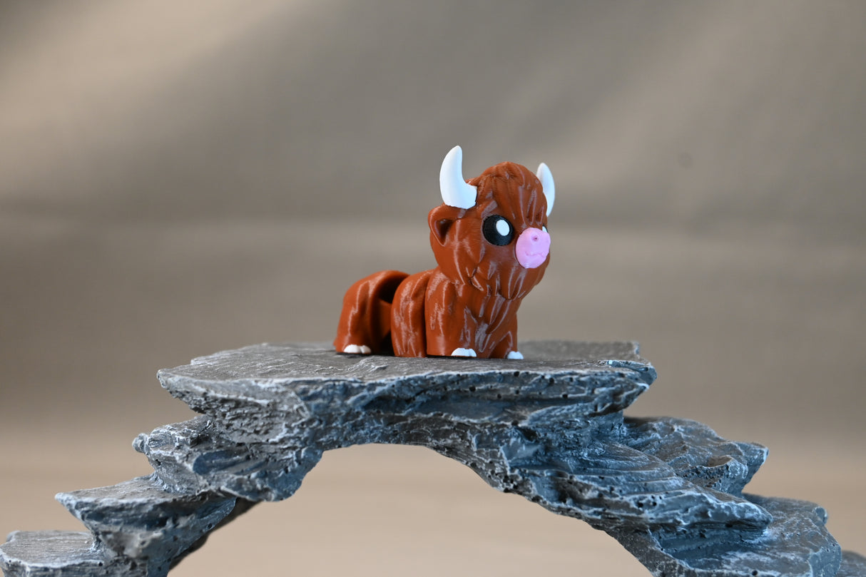 Highland Cow