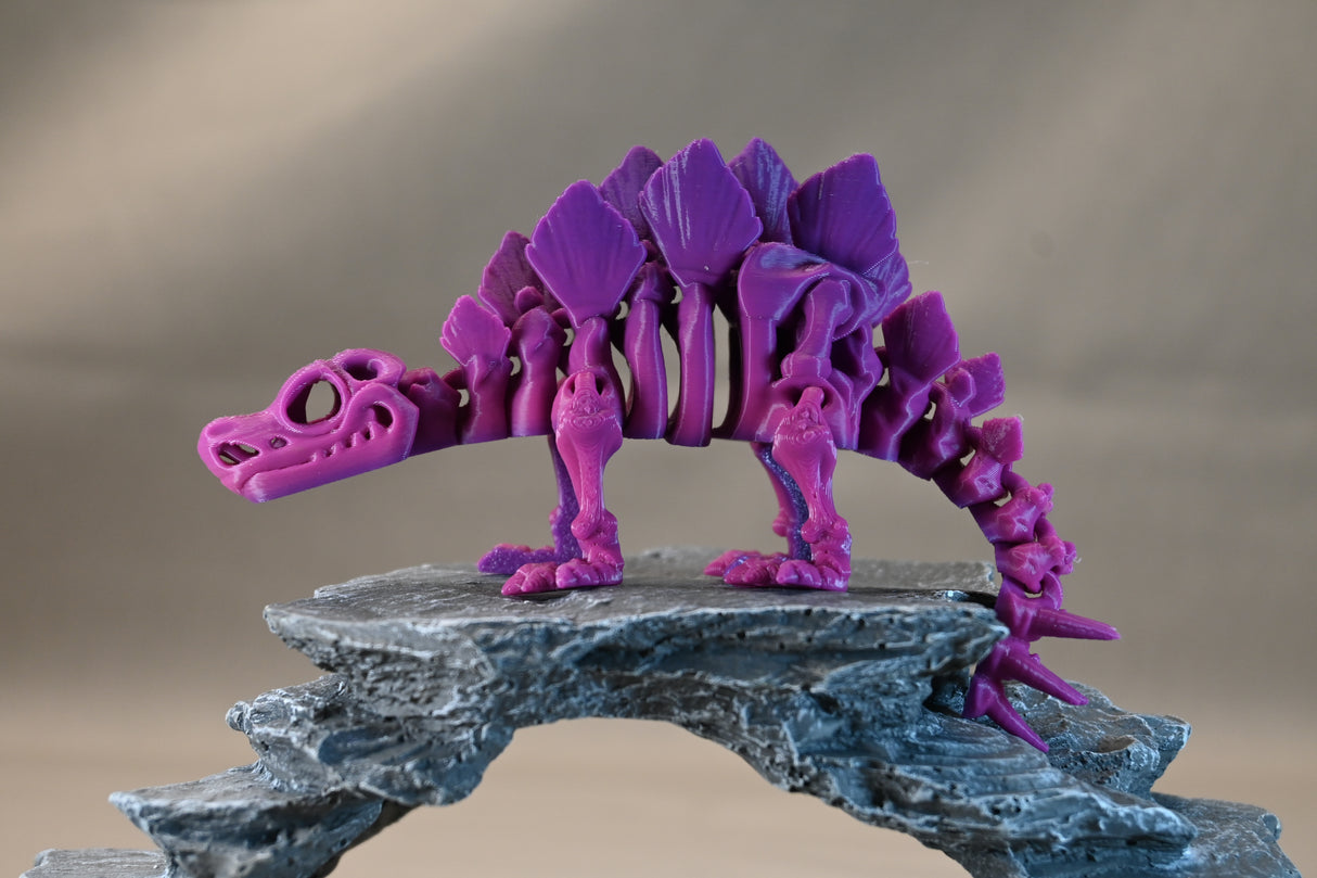 Skeleton Stegosaurus