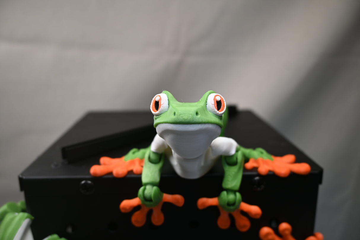 Tree Frog (With Magnets)