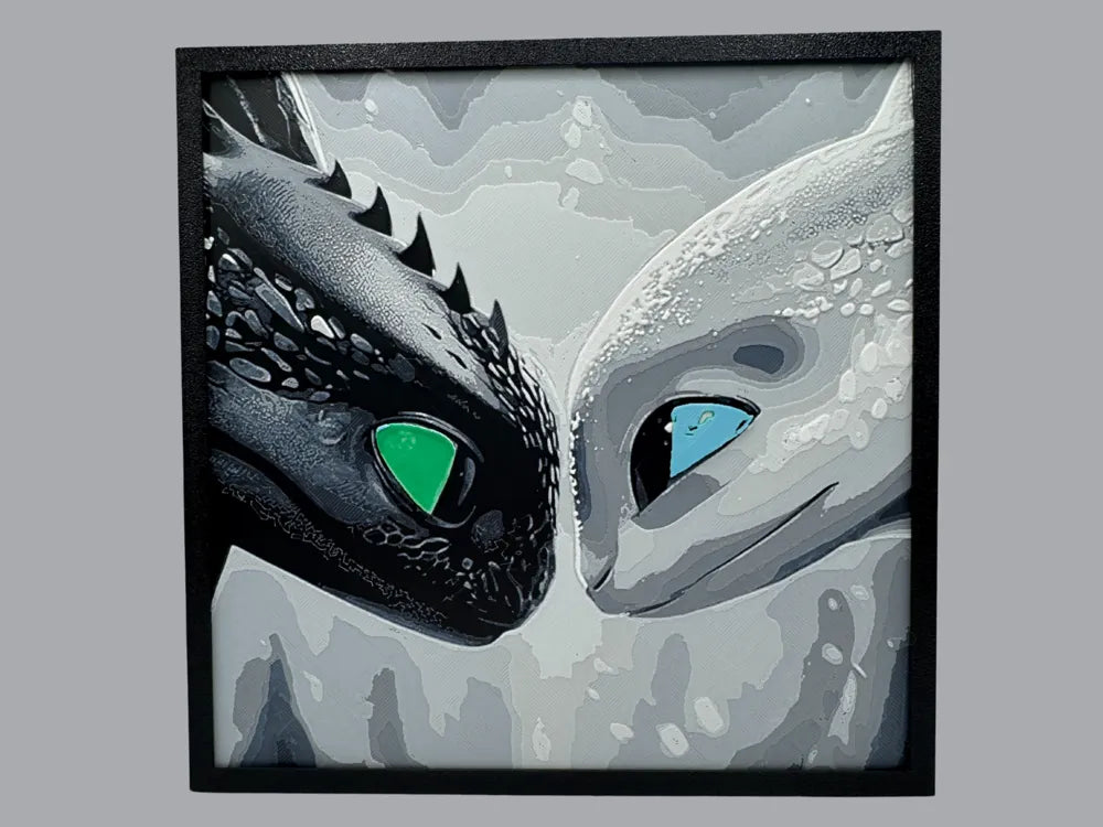 Toothless & Light Fury 1