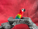 Parrot