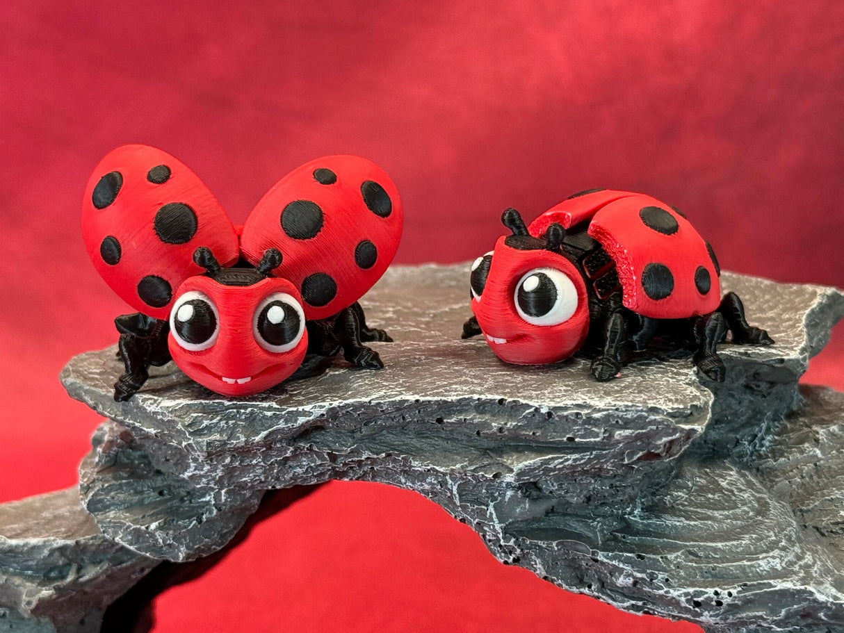 Lady Bug