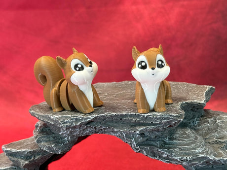 Squirrel
