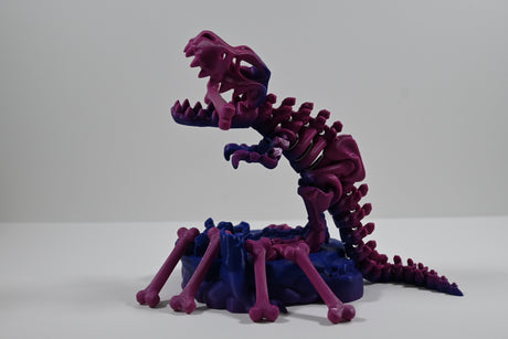 Skeleton T-Rex (and Base)