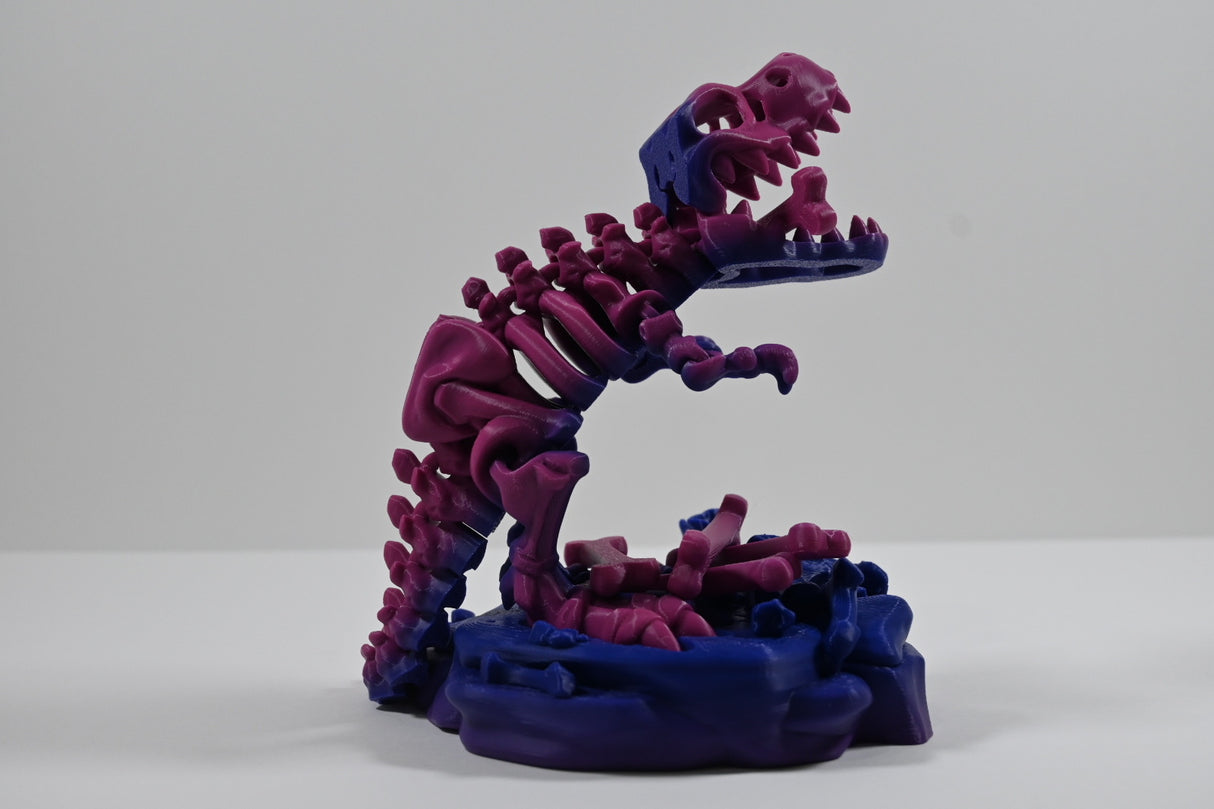 Skeleton T-Rex (and Base)