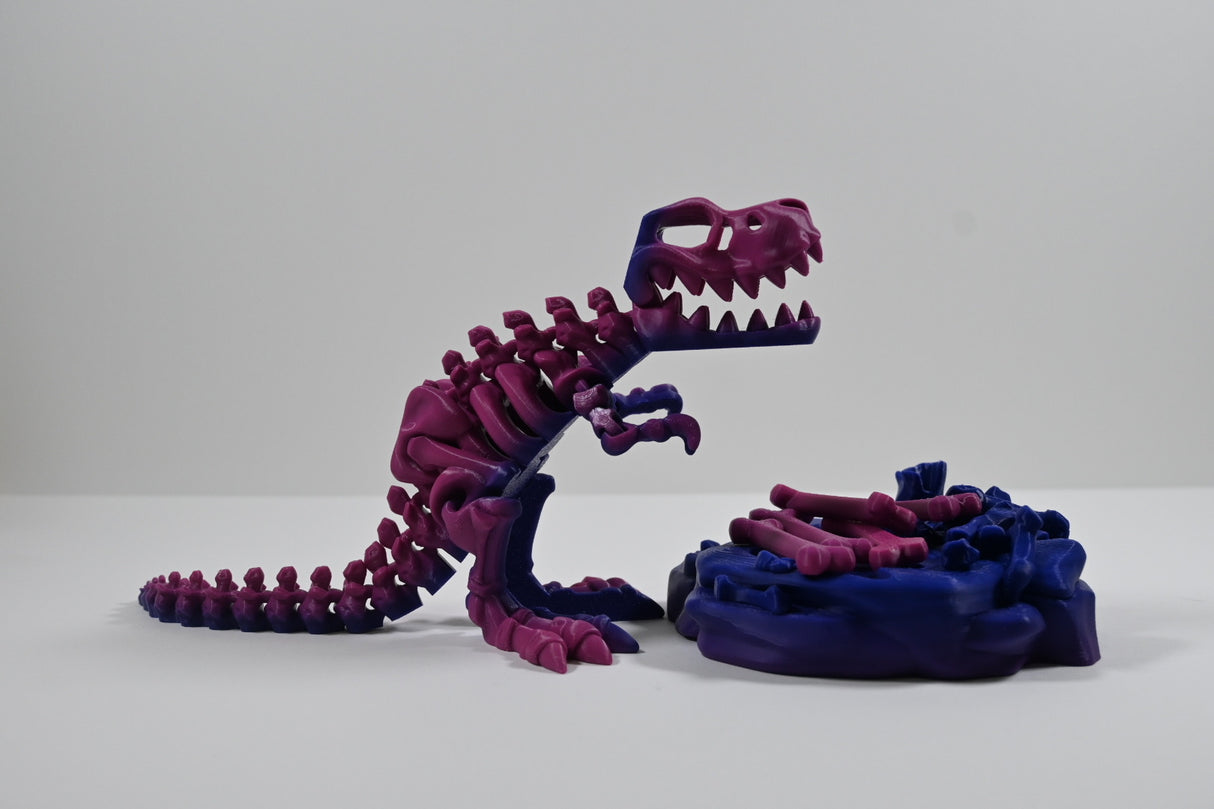Skeleton T-Rex (and Base)
