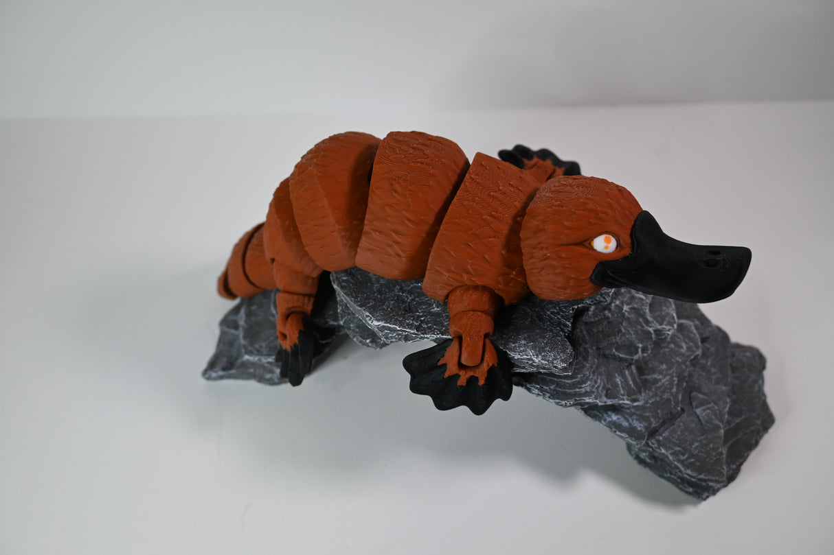 Platypus - Large