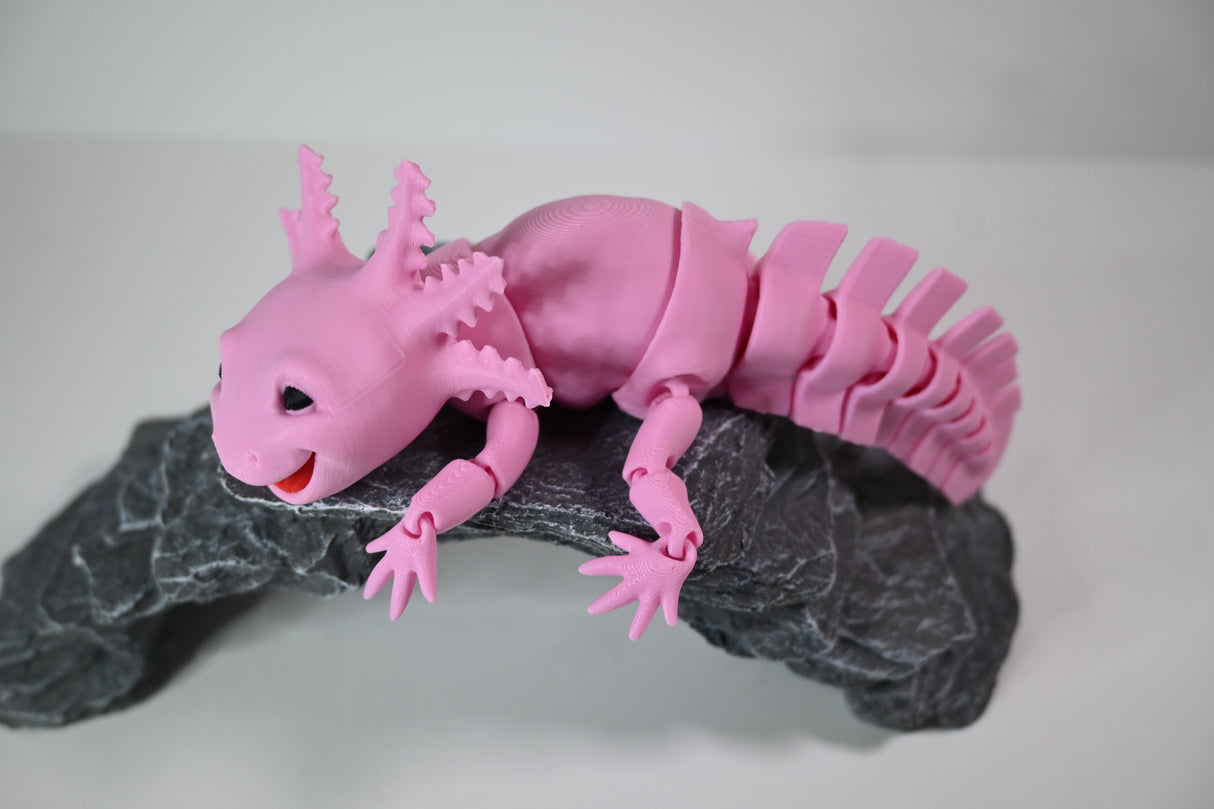 Axolotl (Medium)