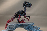 Skeleton Velociraptor