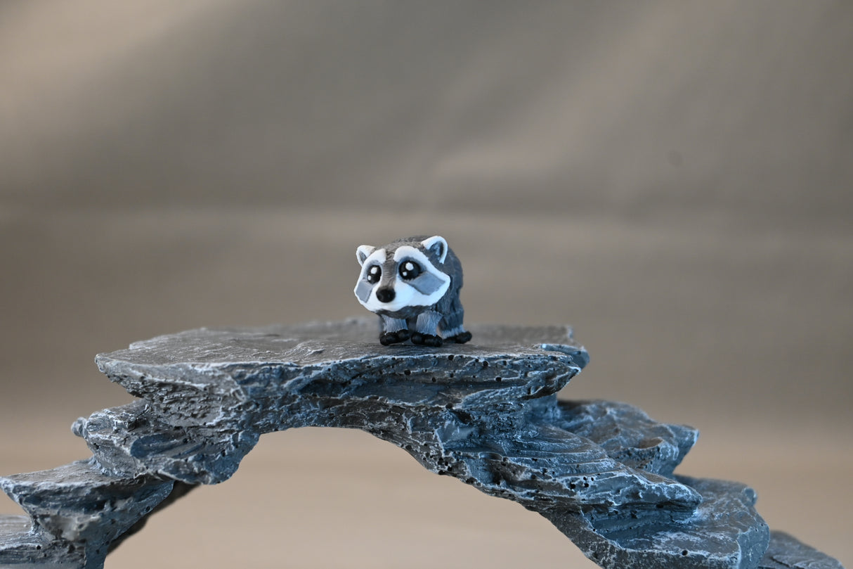 Raccoon