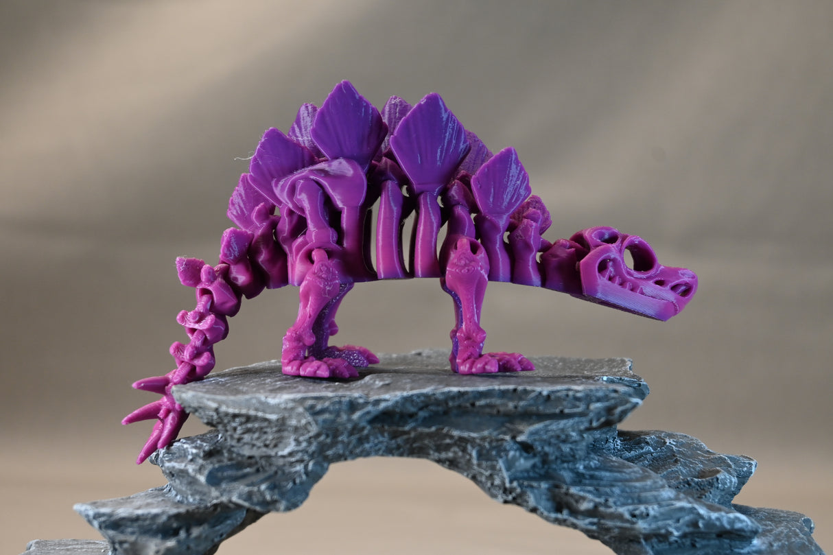 Skeleton Stegosaurus