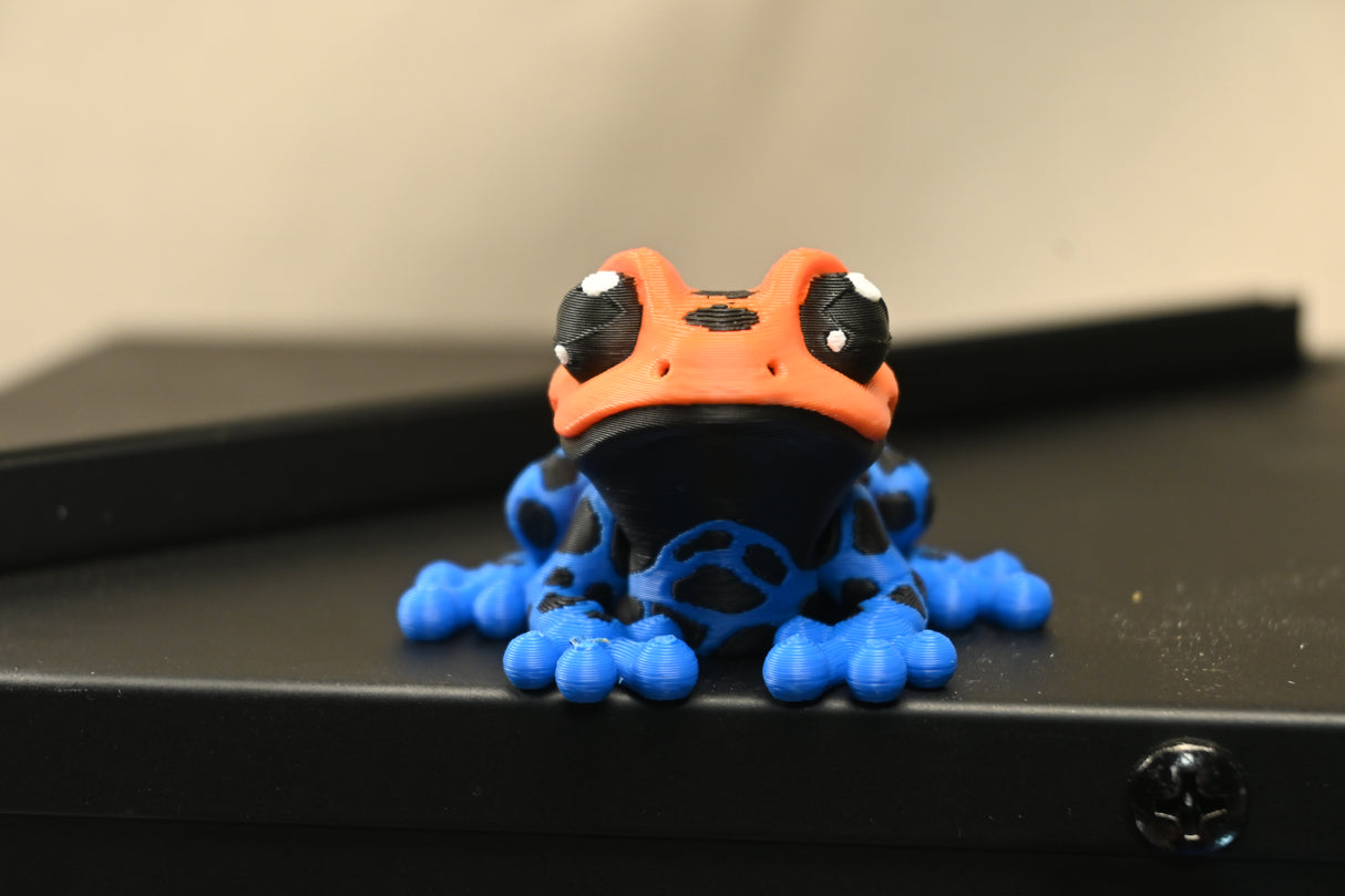 Poison Dart Frog (With Magnet Inside)
