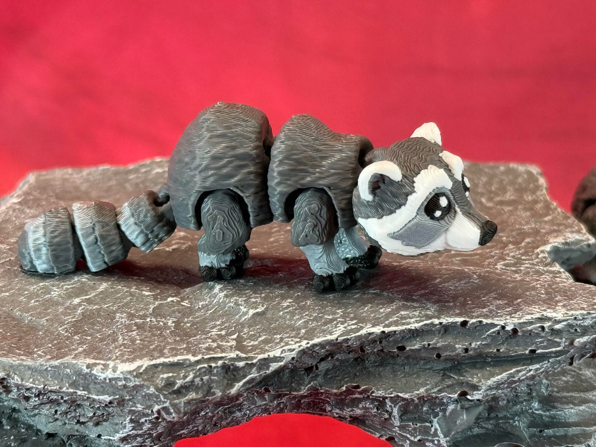 Raccoon