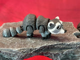 Raccoon
