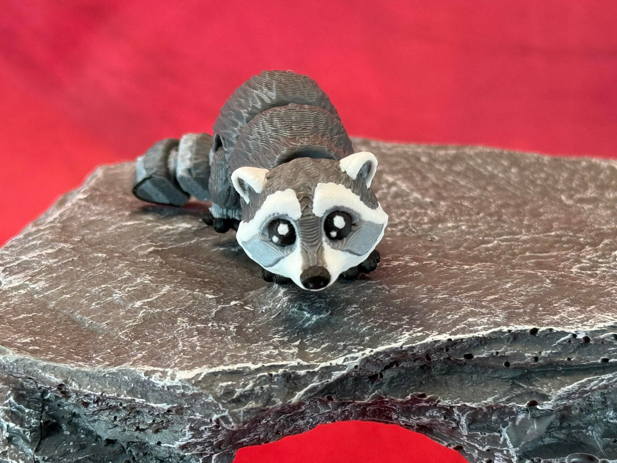 Raccoon