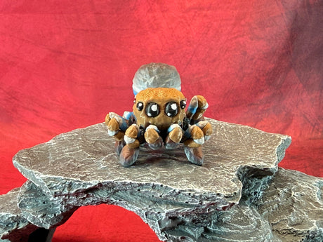 Spider