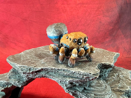 Spider